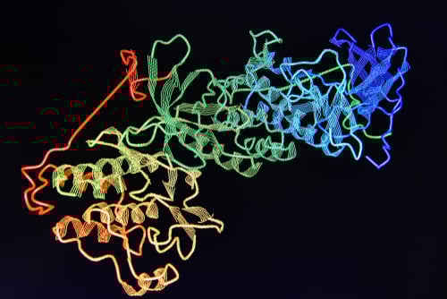 PROTEIN STRUCTURE