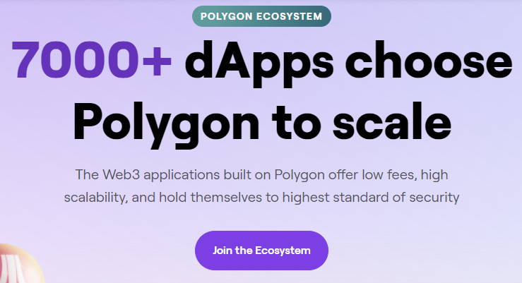Polygon ecosystem