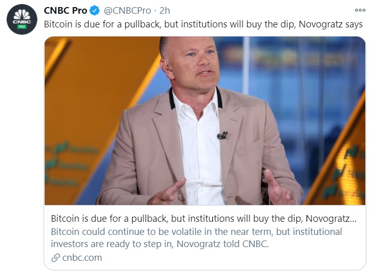 novogratz buy the dip_tweet