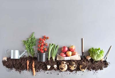 shutterstock_1059882158
