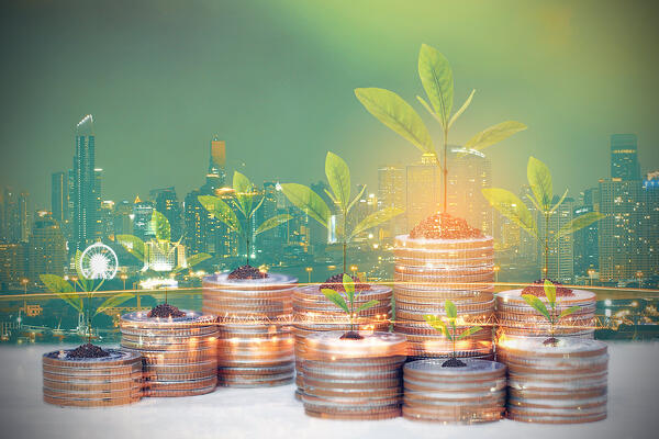 How to buy green bonds