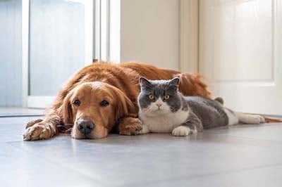 shutterstock_1675980673