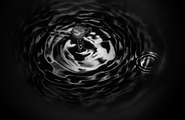 shutterstock_352459484