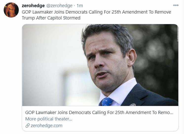 zerohedge 25th amendment