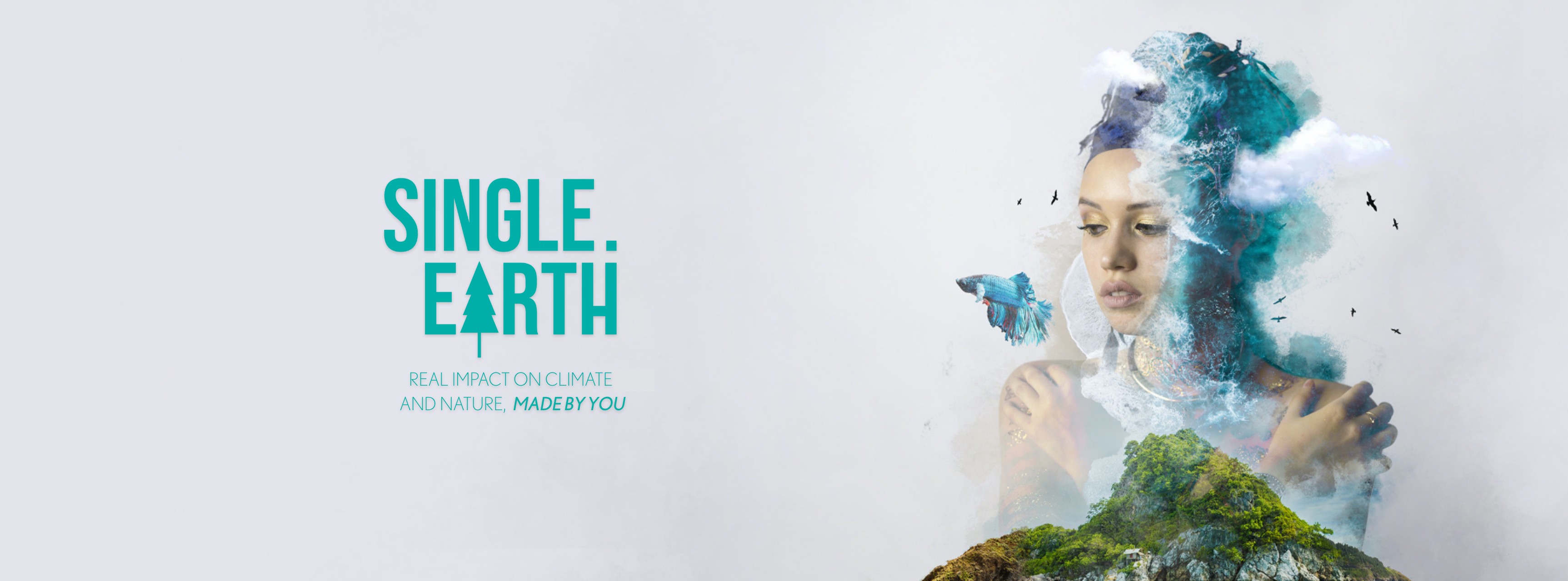 Single Earth Impact on Climate