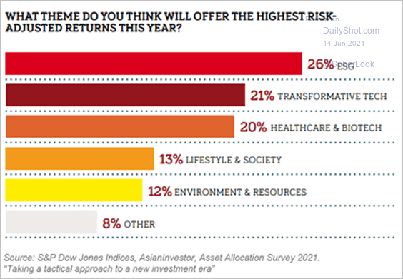 Which themes will offer the highest risk-adjusted returns in 2021?