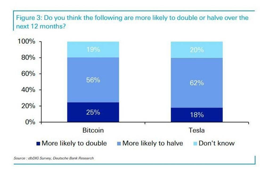 Bitcoin vs. Tesla: who will double or halve over the next 12 months?