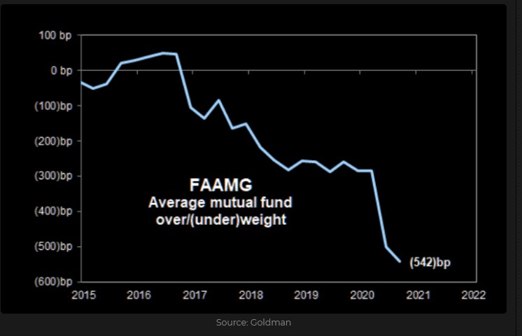FAAMG average mutual fund relative exposure 