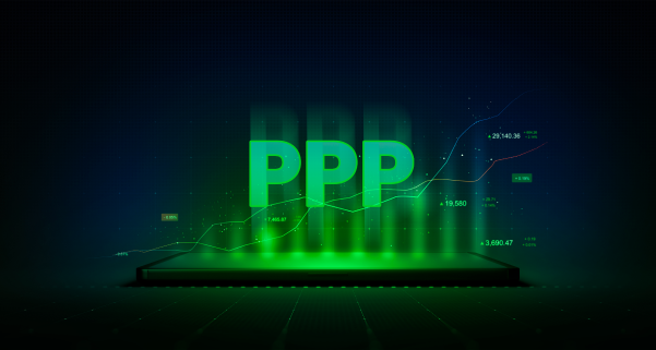 Qu'est ce que le ppp ?