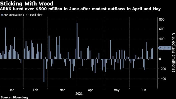 Ark fans must not fear: Cathie Wood is back