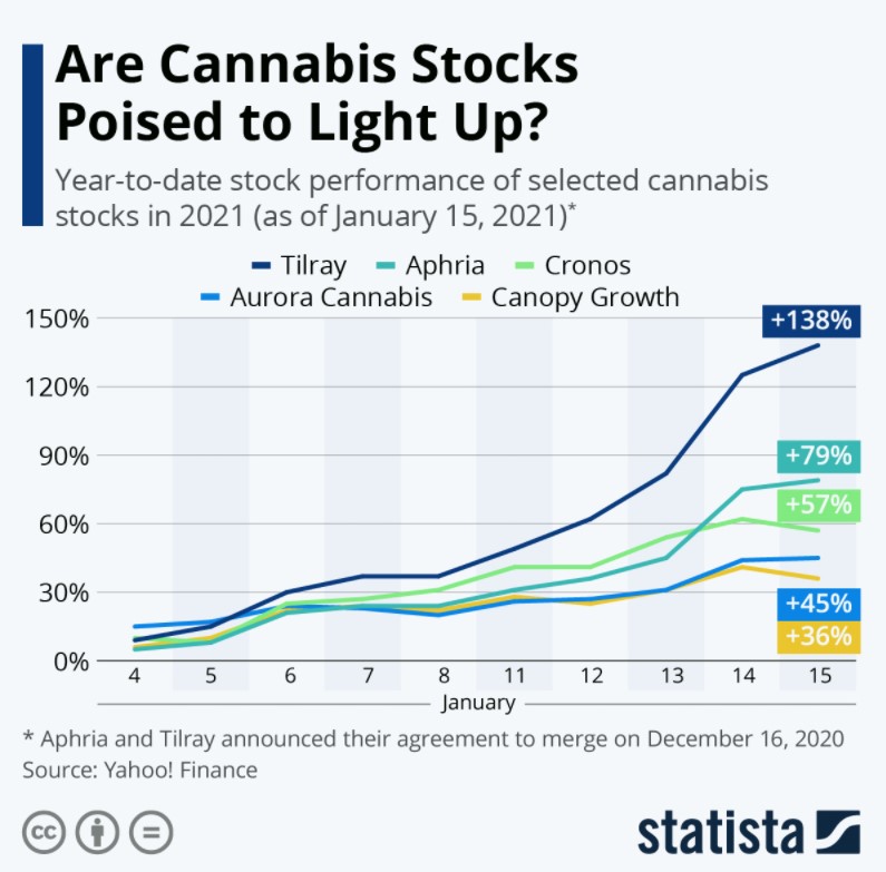 Selected cannabis stocks since the start of the year 
