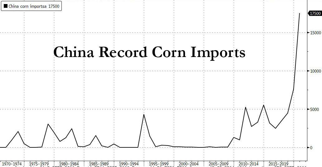 China Corn imports