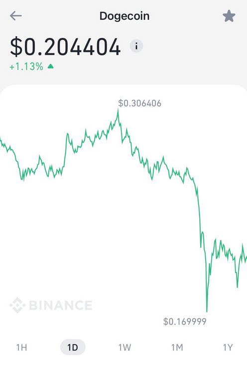 Dogecoin lost 1/3rd of its value in one hour after news of Biden capital gains tax
