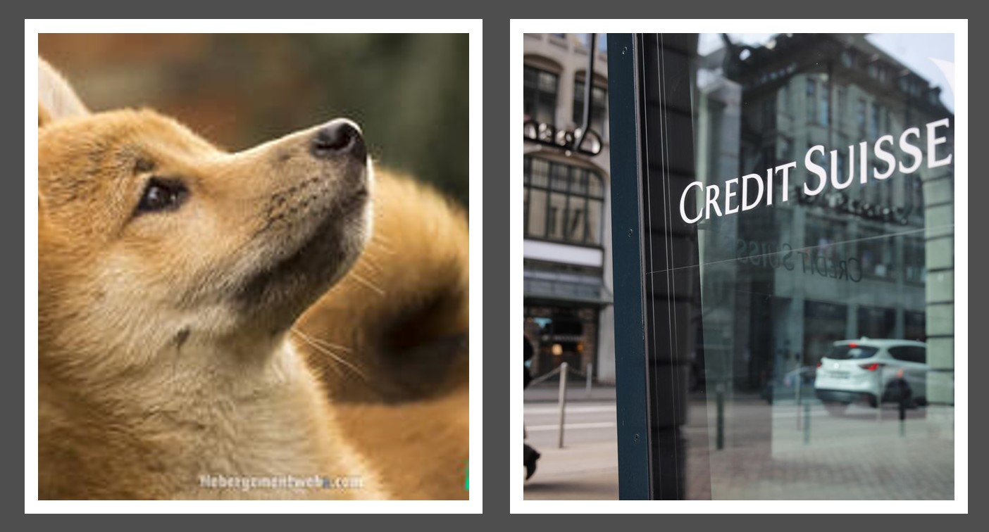 Dogecoin vs. Credit Suisse