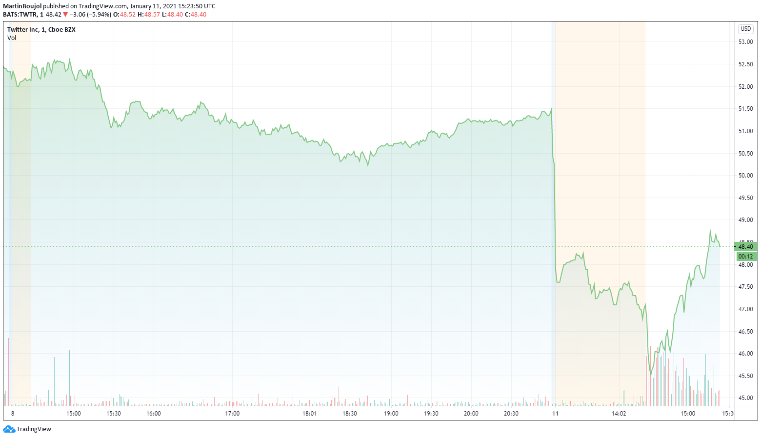 Twitter stock plunges