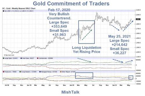 COT Report: Gold positioning 