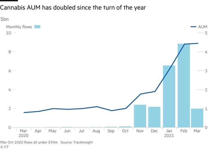Cannabis stocks are still trendy!